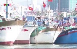 Tàu cá Khánh Hòa bị Malaysia bắt giữ trái phép khi đang hoạt động trong vùng biển Việt Nam