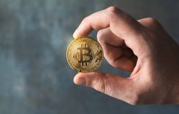 Bitcoin có thể đạt 53.000 USD trong ngắn hạn