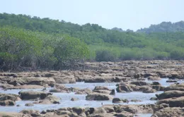 Đông Nam Á là một trong những khu vực chịu ảnh hưởng nặng nề nhất của biến đổi khí hậu