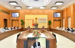 Sớm ban hành văn bản hướng dẫn thi hành luật