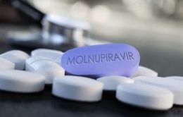 Nhiều người dân khó mua thuốc Molnupiravir