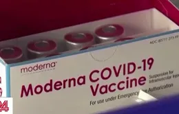 Moderna thu hồi hơn 764 nghìn liều vaccine nhiễm chất lạ