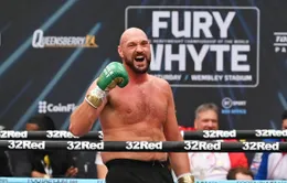 Tyson Fury sẽ giải nghệ sau trận đấu với Dillian Whyte