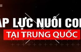 Vì sao giới trẻ tại Trung Quốc có xu hướng ngại sinh con?