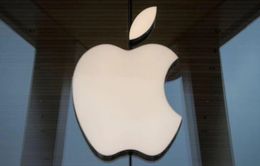 Apple sử dụng gần 20% vật liệu tái chế trong các mẫu iPhone