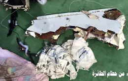 Tàn thuốc lá trong buồng lái có thể là nguyên nhân khiến máy bay EgyptAir gặp nạn