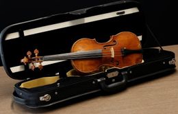 "Leonardo da Vinci của giới violin" được đưa ra đấu giá tại Pháp