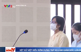 Đà Nẵng xét xử Việt kiều rởm dựng tạp vụ làm giám đốc lừa đảo chiếm đoạt hơn 1 triệu USD