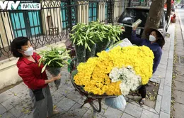 Hà Nội: Hoa loa kèn xuống phố, báo hiệu mùa hè sắp tới