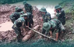 Ngày Thế giới phòng chống bom mìn 4/4: Việt Nam nỗ lực thúc đẩy khắc phục hậu quả bom mìn