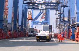 Doanh nghiệp xuất nhập khẩu đuối sức vì phí cảng biển