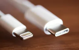 Apple sẽ tích hợp USB-C từ phiên bản iPhone 15?