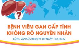 [INFOGRAPHIC] Bệnh viêm gan cấp tính không rõ nguyên nhân