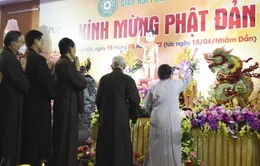 Hân hoan mùa Phật đản