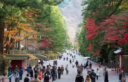 Nhật Bản công bố "du lịch thử nghiệm" có giới hạn từ tháng 5, chuẩn bị mở cửa trở lại hoàn toàn
