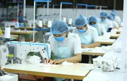 RCEP giúp Việt Nam cải thiện khả năng tiếp cận thị trường tiêu dùng lớn