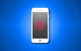 Những iPhone nào có Touch ID?