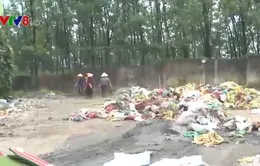 Thừa Thiên Huế: Phát hiện công ty cao su gây ô nhiễm môi trường