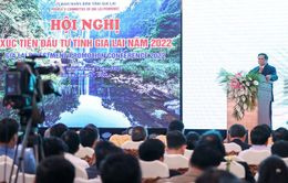 Xúc tiến đầu tư vào Gia Lai phải thực chất, hiệu quả