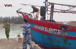 Kịp thời cứu 5 ngư dân và tàu cá bị nạn trên biển Cù Lao Chàm