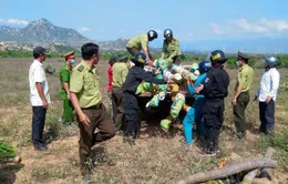 Khởi tố, bắt tạm giam nhóm lâm tặc đánh trọng thương nhân viên bảo vệ rừng ở Ninh Thuận