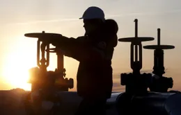 Doanh thu dầu khí Nga tăng gấp đôi sau xung đột Ukraine
