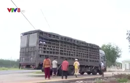 Gia Lai tăng cường kiểm soát, xử lý xe quá khổ, quá tải