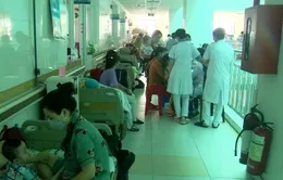 Sốt xuất huyết ở trẻ em: Nhiều trẻ nhập viện vì người lớn chủ quan