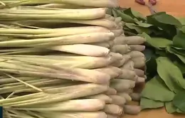 Tủ thuốc xanh lan tỏa tinh thần nhân ái