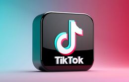 TikTok tạm dừng chính sách thu thập dữ liệu mới tại châu Âu