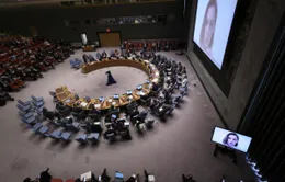 Hội đồng Bảo an thông qua tuyên bố đầu tiên về Ukraine
