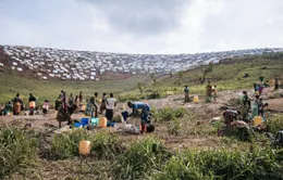 Tấn công tại mỏ vàng ở Congo khiến ít nhất 35 người thiệt mạng