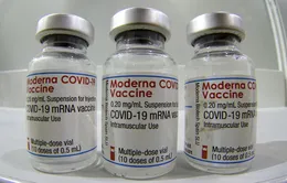 Mỹ: Vaccine COVID-19 của Moderna hiệu quả và an toàn cho trẻ em