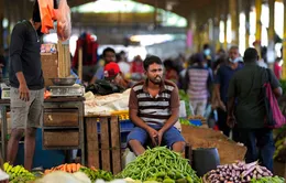 Sri Lanka có nguy cơ xảy ra tình trạng khẩn cấp nhân đạo toàn diện