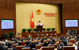 Đẩy nhanh tiến độ lập, phê duyệt các quy hoạch cấp quốc gia mang tính cấp bách