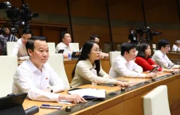 Bổ sung quy định về Quốc kỳ, Quốc ca trong Luật Sở hữu trí tuệ