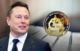 Elon Musk bị đòi bồi thường 258 tỷ USD vì thao túng Dogecoin