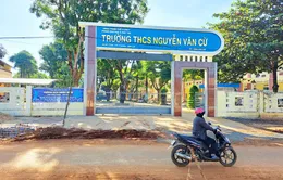 Buộc thôi việc một Phó Hiệu trưởng sử dụng bằng giả