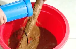 Nam Định: Nhiều người dân vẫn chưa được dùng nước sạch