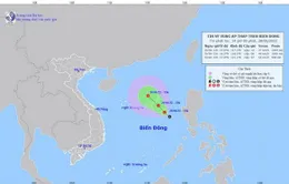 Các tỉnh, thành từ Quảng Ninh-Khánh Hòa chủ động ứng phó với áp thấp