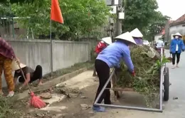 Hàng trăm ca mắc sốt xuất huyết, Quảng Bình chủ động ứng phó