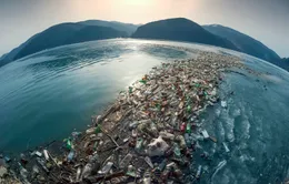 Công nghệ xử lý rác thải ngay trên tàu tại Hàn Quốc