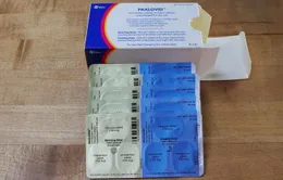 Thuốc Paxlovid làm giảm nguy cơ COVID-19 ở người cao tuổi bất kể tình trạng vaccine