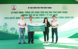 NovaGroup hưởng ứng kế hoạch trồng cây xanh trên địa bàn tỉnh Bình Thuận