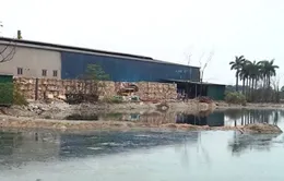 Nhiều cơ sở tái chế giấy xả thải chui, nước sông đen đục vì ô nhiễm