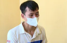 Làm chứng chỉ tiếng Anh giả để nộp hồ sơ xin việc