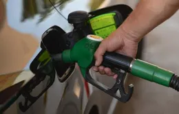 Châu Âu “ghìm cương” giá xăng dầu