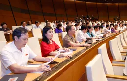 Quốc hội giám sát tối cao việc quản lý, sử dụng các nguồn lực phòng, chống COVID-19