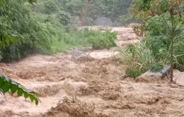 Lâm Đồng: Tìm thấy thi thể người đàn ông bị nước lũ cuốn trôi