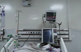 Can thiệp ECMO cứu bệnh nhân sốc sốt xuất huyết nguy kịch